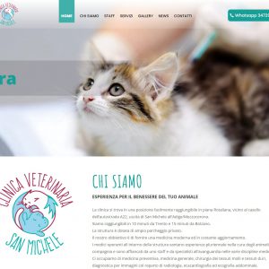 clinica veterinaria san michele